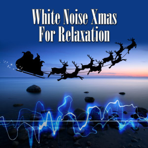 收聽Ambient Christmas Music Co.的Christmas Morning With the Birds歌詞歌曲