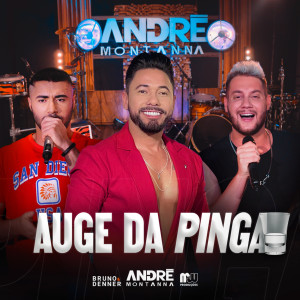 André Montanna的專輯Auge da Pinga