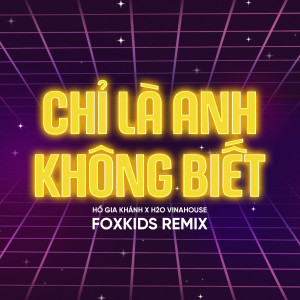Hồ Gia Khánh的專輯Chỉ Là Anh Không Biết (Remix)