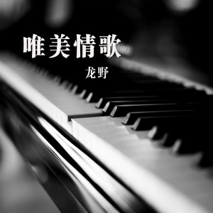 收听龙野的有多少难忘记 (完整版)歌词歌曲