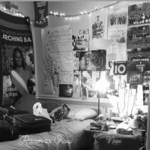 อัลบัม Room to Grow (Explicit) ศิลปิน NIQU