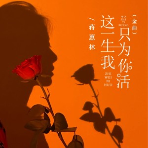 Album 这一生我只为你活（金曲） from 蒋蕙林