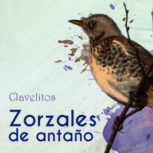 收聽Sofia Alvarez的Alma Ranchera歌詞歌曲