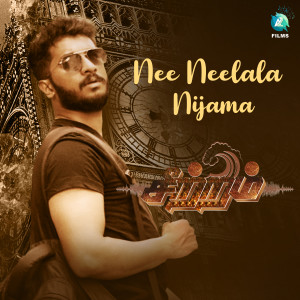 Listen to Nee Neelala Nijama (From "Seetram") song with lyrics from Balaji Sri
