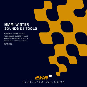 ดาวน์โหลดและฟังเพลง Miami Winter Sounds Beats 128 (Tool 1) พร้อมเนื้อเพลงจาก Ryan Love