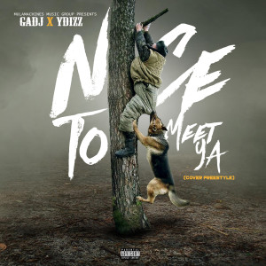 Album Nice to Meet Ya (Cover Freestyle) (Explicit) from Gadj