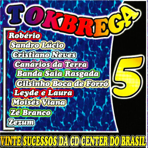 Listen to Mulher Precisa de Carinho song with lyrics from Sandro Lúcio