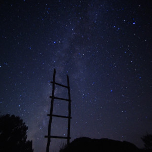 ดาวน์โหลดและฟังเพลง Distant Lands พร้อมเนื้อเพลงจาก Senzabeatz