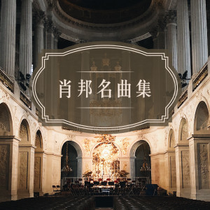 อัลบัม 古典乐效应: 萧邦名曲集 ศิลปิน Abby Mettry