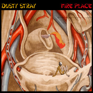 Dusty Stray的專輯Fire Place