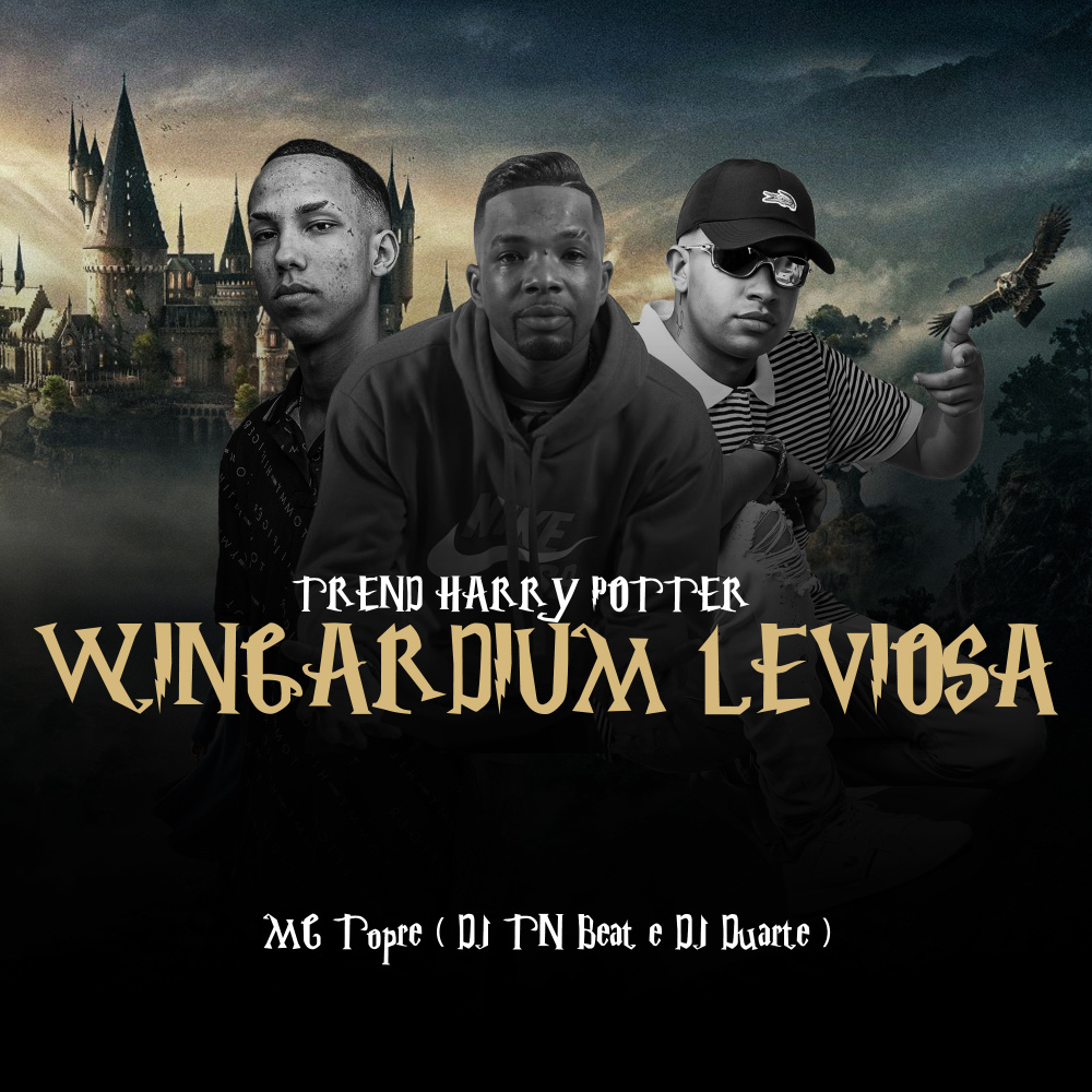 Trend Harry Potter - Wingardium Leviosa