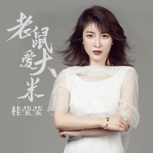 Album 老鼠爱大米 from 胡扬琳