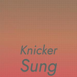 Listen to Knicker Sung song with lyrics from Arna Yesha