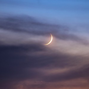 Sleep With Marco的專輯Better Nights