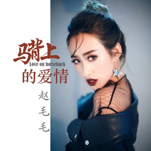 Album 马背上的爱情 from 费小祥