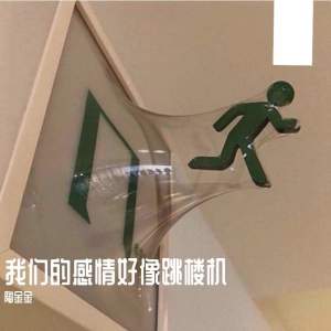 陶金金的专辑我们的感情好像跳楼机