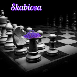 ดาวน์โหลดและฟังเพลง Skabiosa พร้อมเนื้อเพลงจาก Isa G