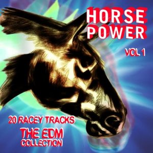 收聽EDM Horsepower的Sociopath歌詞歌曲