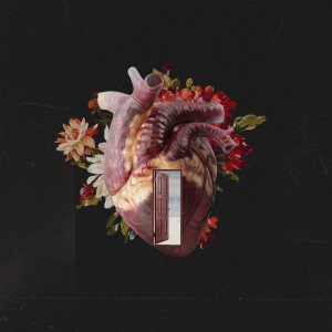 อัลบัม A Casa É Sua ศิลปิน Casa Worship
