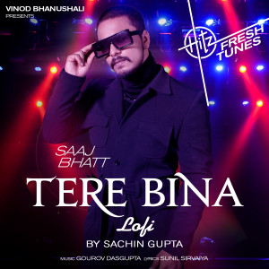 Album Tere Bina (Lo-Fi) oleh SACHIN GUPTA