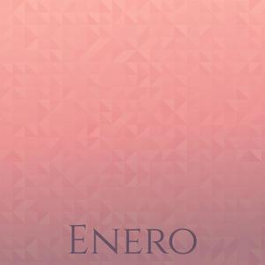Various的专辑Enero