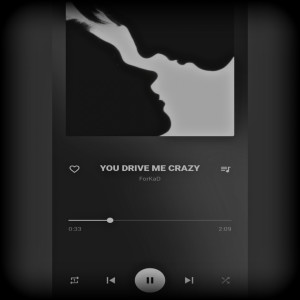 Album YOU DRIVE ME CRAZY from ForKaD
