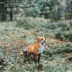 ดาวน์โหลดและฟังเพลง Life and Possible Death พร้อมเนื้อเพลงจาก Detestines