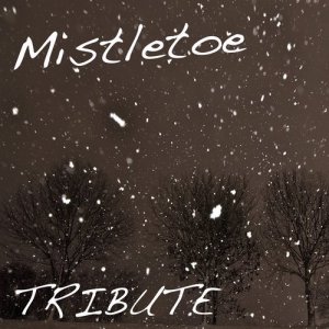 ดาวน์โหลดและฟังเพลง Mistletoe พร้อมเนื้อเพลงจาก The Singles