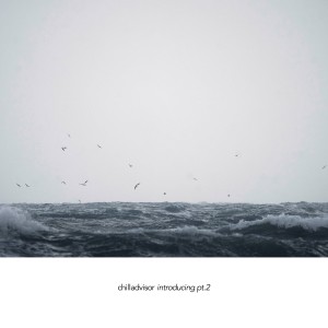 Listen to Introducing song with lyrics from Chill Advisor