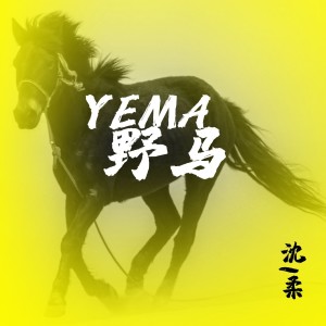 沈1揉的专辑爱上一匹野马