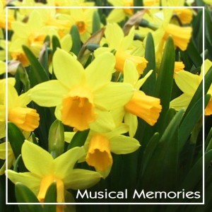 Various Artists的專輯Musical Memories