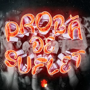 Listen to PROBĂ DE SUFLET song with lyrics from Subcarpaţi