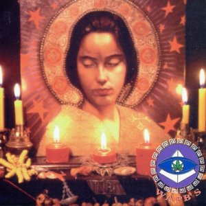 收聽Wapb's的Funky Punky Skannky歌詞歌曲