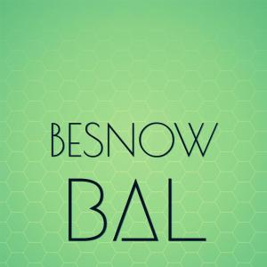 Various的专辑Besnow Bal