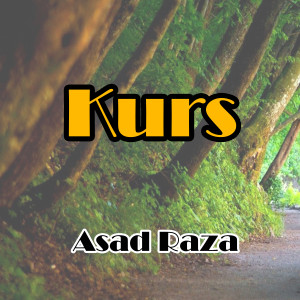 Album Kurs from Asad Raza