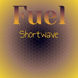 อัลบัม Fuel Shortwave ศิลปิน Various