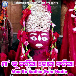 Various的专辑Maa Ku Badhia Gota Nadia