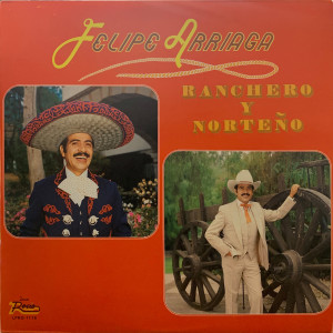 ดาวน์โหลดและฟังเพลง Alma de Piedra พร้อมเนื้อเพลงจาก Felipe Arriaga