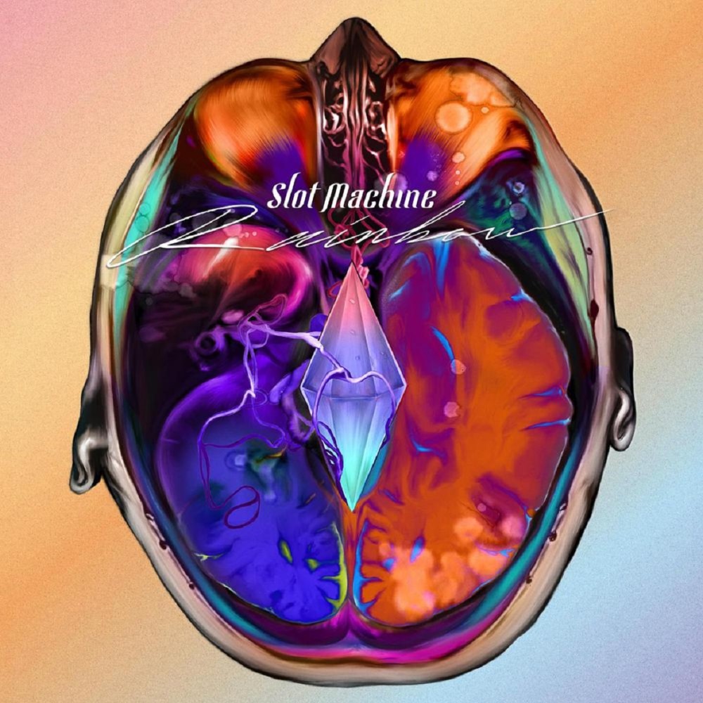 default column 1205x682 img