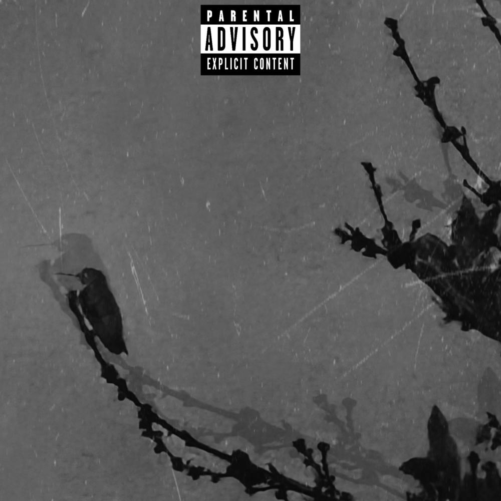 Triumph (feat. QU4N) (Explicit)