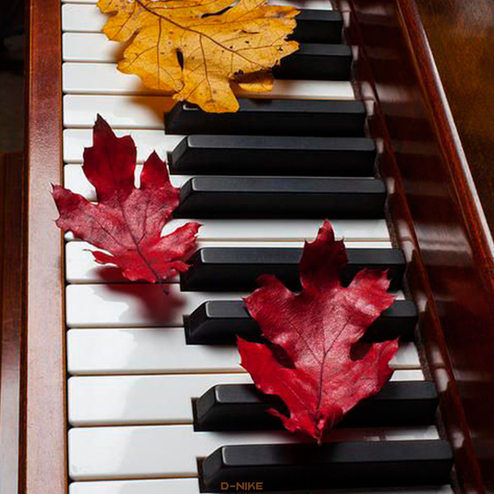 In autumn