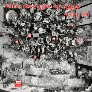 Album The Sounds of Xmas, Vol. 29 from Group Star