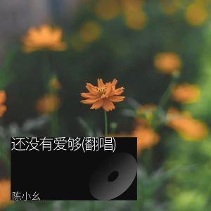 小幺的专辑还没有爱够(翻唱)
