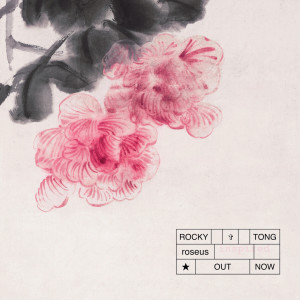 Listen to Two Sides, My Side (Explicit) song with lyrics from Rocky Tong