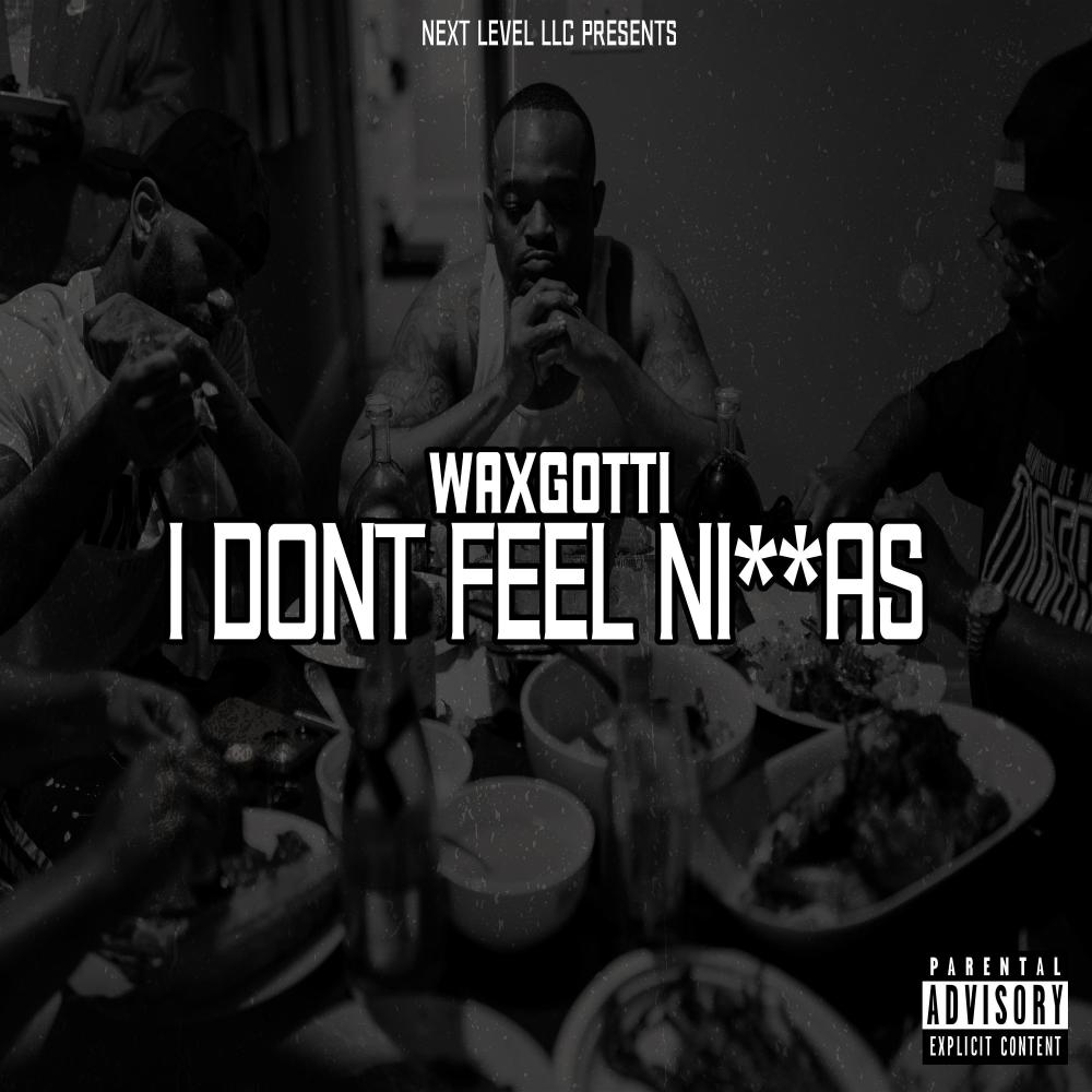 I Don't Feel Niggas (Explicit)