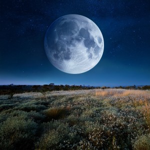 Terapeuta del sueño的專輯Música Bajo El Cielo Dormido