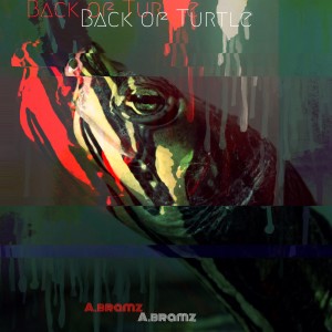 Listen to Back of Turtle song with lyrics from A.bramz