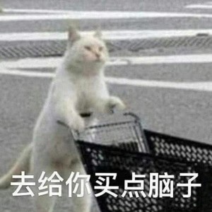 Listen to 我喜欢上你时的内心活动 (cover: 陈绮贞) (完整版) song with lyrics from 壹拾九