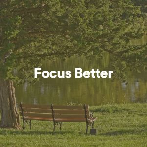 Album Focus Better from Studying Music