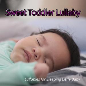 收听Sleeping Baby Songs的Baby Bedtime Music歌词歌曲
